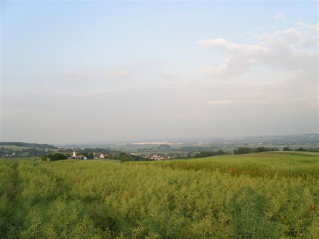 AMK 2011 008.jpg (40 kBytes)